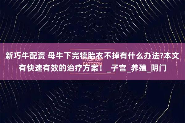 新巧牛配资 母牛下完犊胎衣不掉有什么办法?本文有快速有效的治疗方案！_子宫_养殖_阴门
