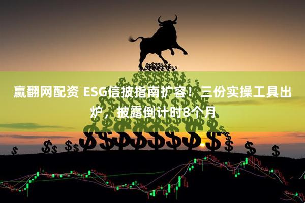 赢翻网配资 ESG信披指南扩容！三份实操工具出炉，披露倒计时8个月